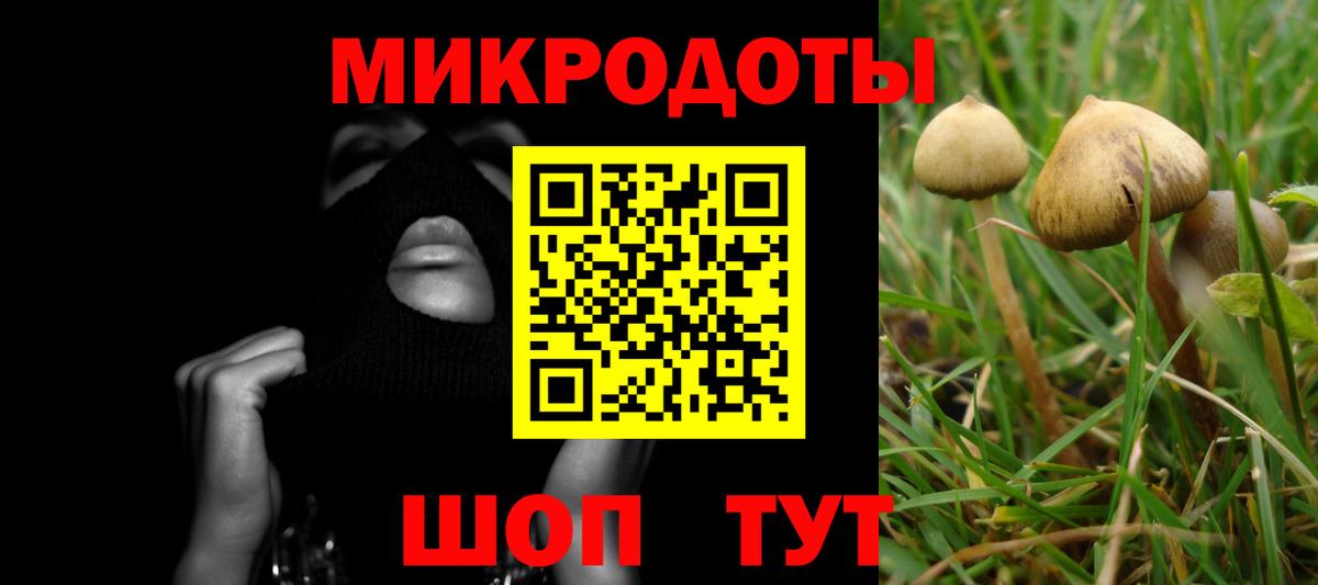 Псилоцибиновые грибы GOLDEN TEACHER Саров